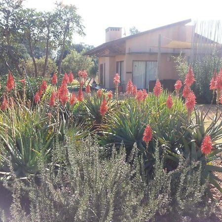 Ama Casa Cottages Champagne Valley Exterior foto